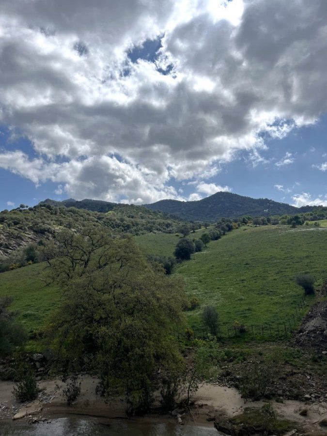 Terreno Non Edificato in vendita in Gaucin - 3.230.000 € (Rif: 9735323)