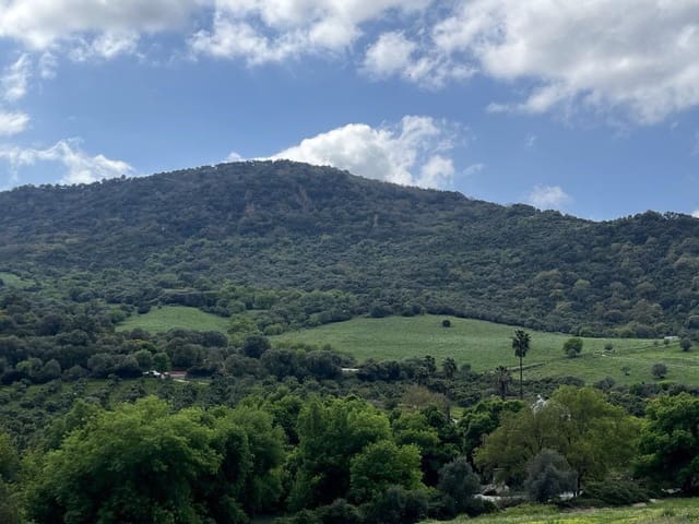 Terreno Non Edificato in vendita in Gaucín - 3.230.000 € (Rif: 9735323)