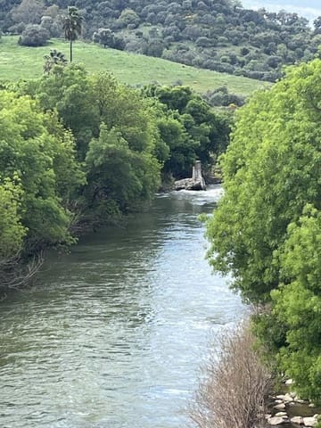 Finca/Maison de Campagne à vendre à Gaucín - 2 148 000 € (Ref: 9735324)