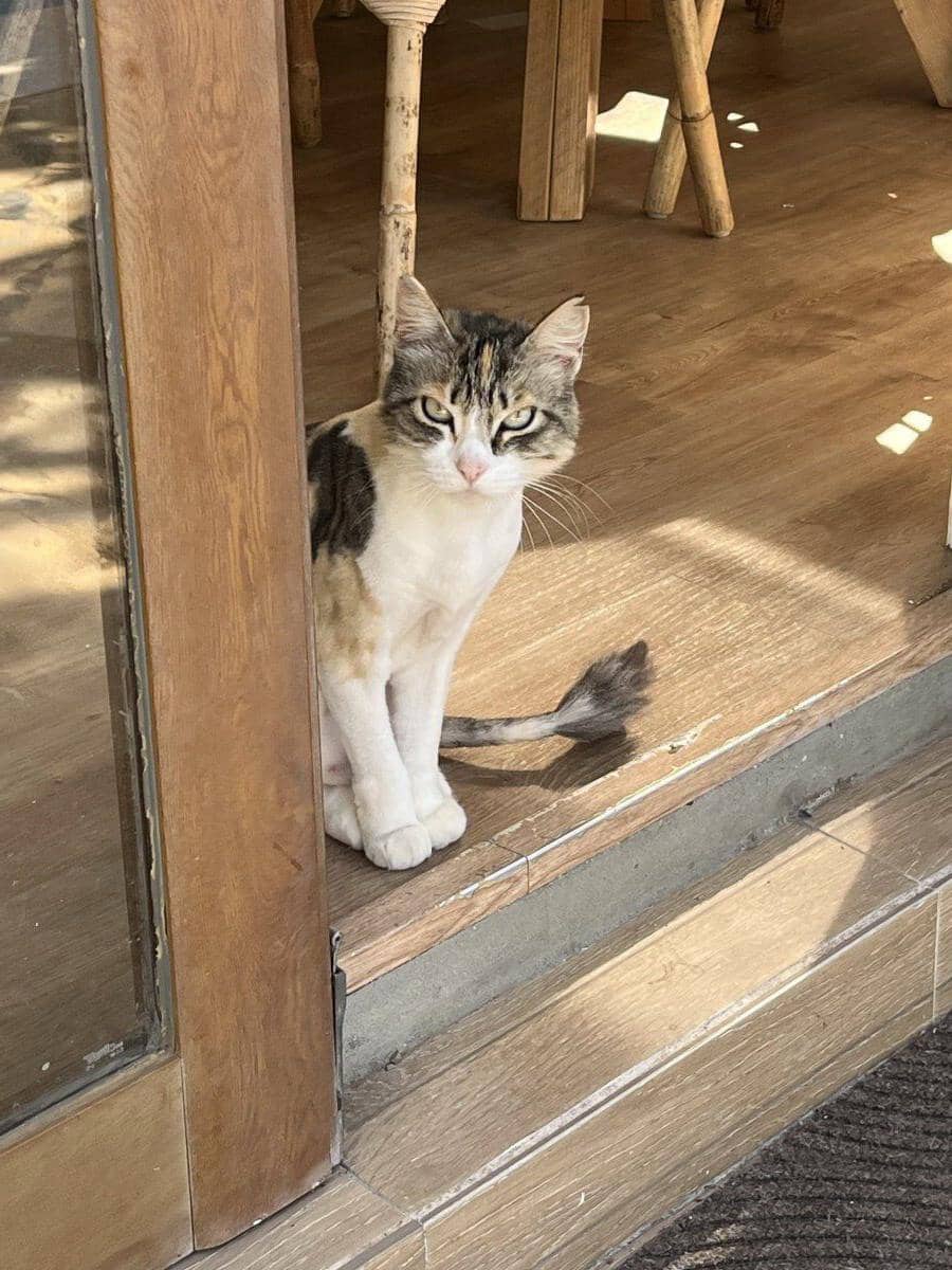 3 bedroom Finca/Country House for sale in Manilva - € 430,000 (Ref: 9784894)