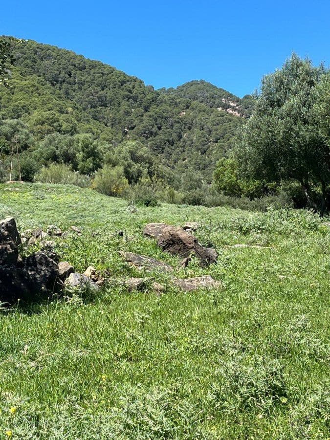 Finca/Country House for sale in Gaucin - € 750,000 (Ref: 9796536)