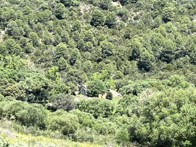 Finka/Dom wiejski na sprzedaż w Gaucín - 750 000 € (Ref: 9796536)