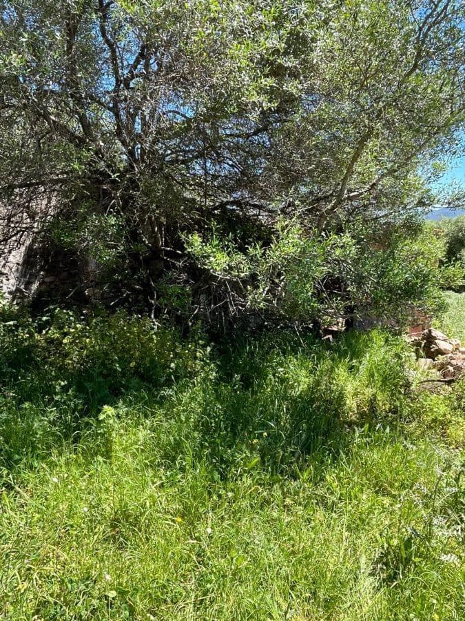 Finca/Country House for sale in Gaucin - € 750,000 (Ref: 9796536)