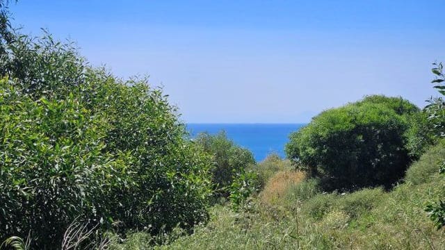 Terreno Non Edificato in vendita in San Roque - 199.000 € (Rif: 9798991)