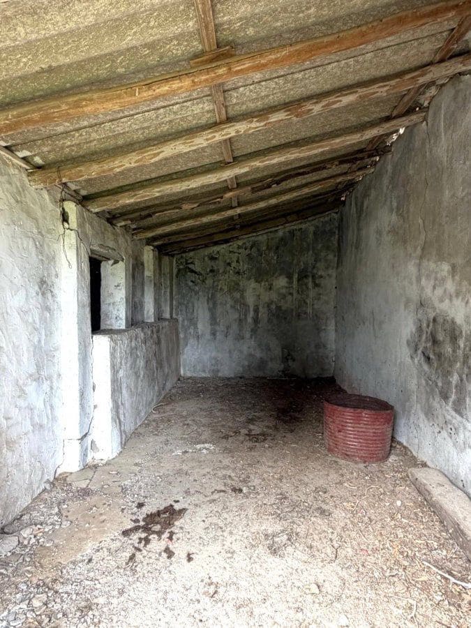 4 bedroom Finca/Country House for sale in San Pablo de Buceite - € 210,000 (Ref: 9839034)