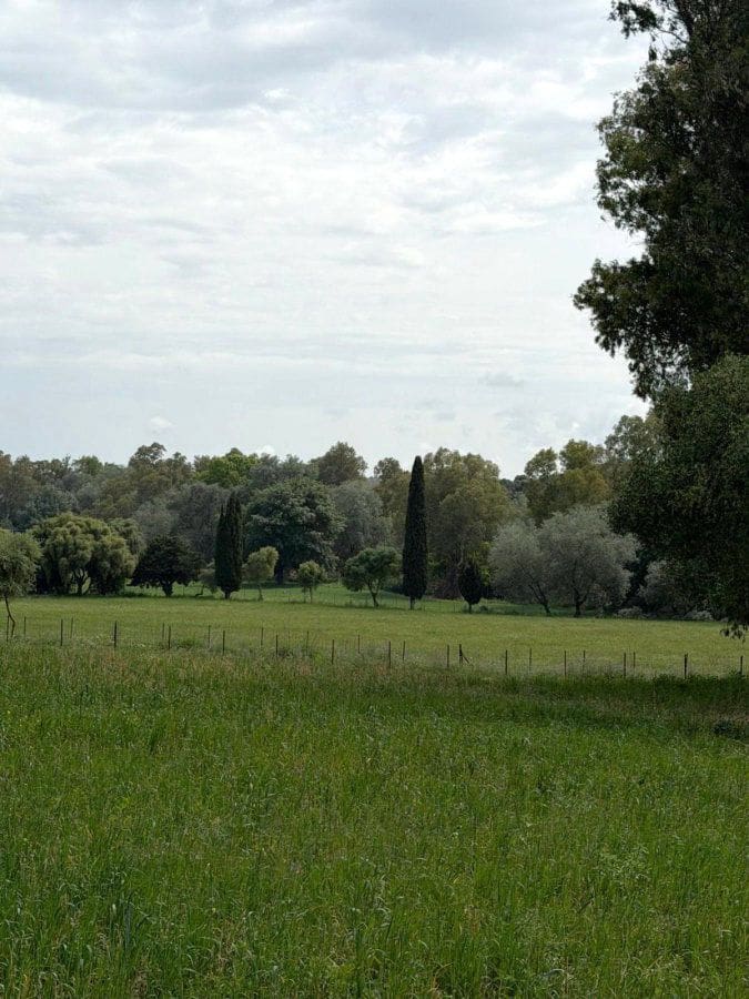 4 bedroom Finca/Country House for sale in San Pablo de Buceite - € 210,000 (Ref: 9839034)