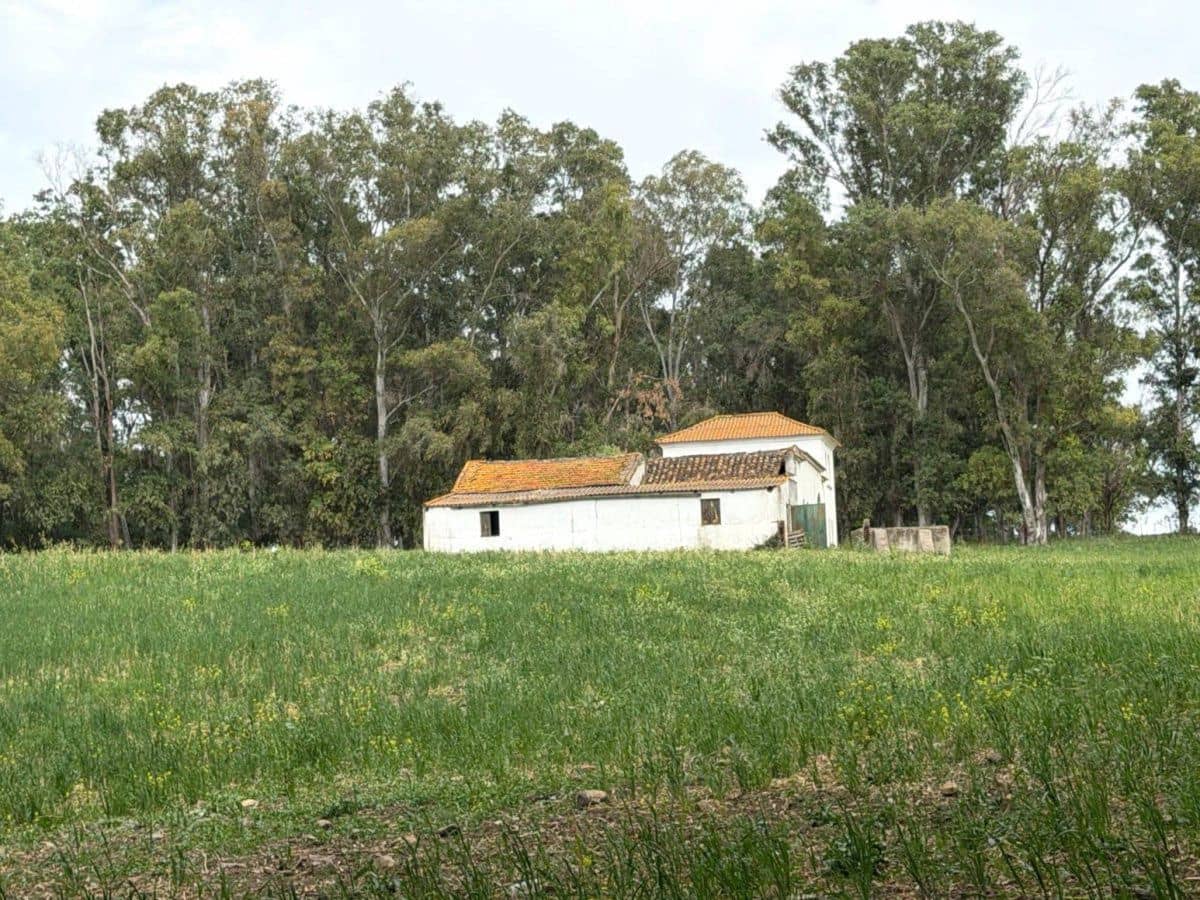 4 bedroom Finca/Country House for sale in San Pablo de Buceite - € 210,000 (Ref: 9839034)