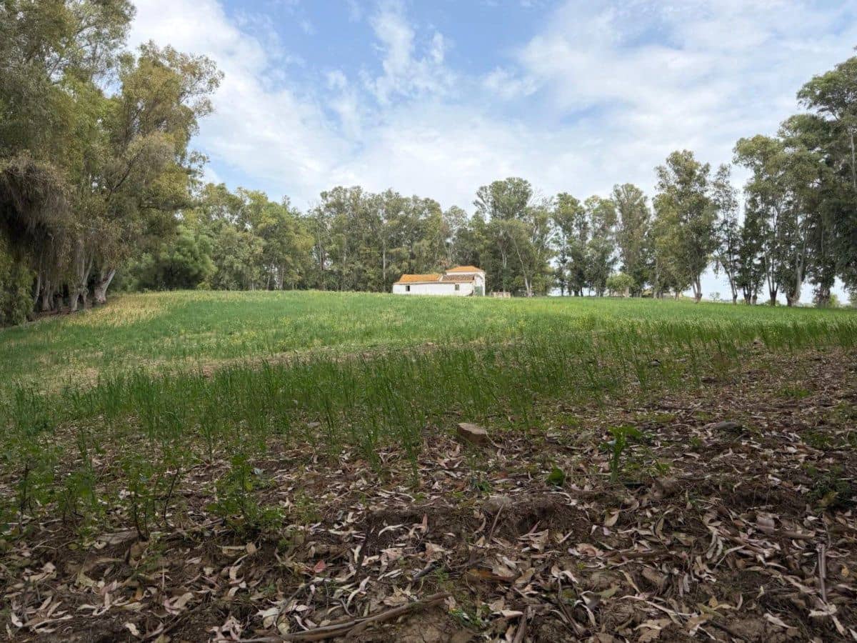4 bedroom Finca/Country House for sale in San Pablo de Buceite - € 210,000 (Ref: 9839034)