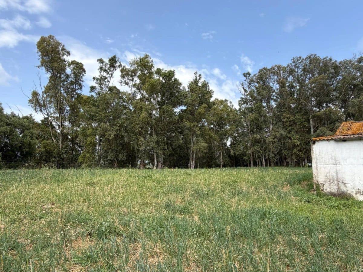 4 bedroom Finca/Country House for sale in San Pablo de Buceite - € 210,000 (Ref: 9839034)