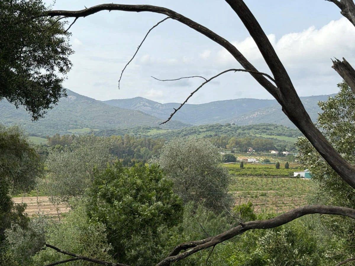 4 bedroom Finca/Country House for sale in San Pablo de Buceite - € 210,000 (Ref: 9839034)