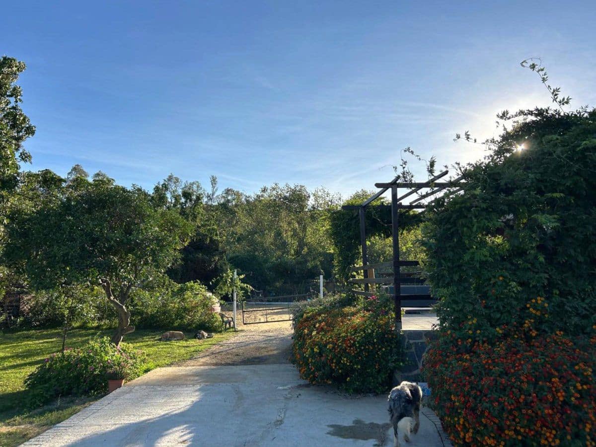 2 bedroom Finca/Country House for sale in San Martin del Tesorillo - € 367,000 (Ref: 9839035)