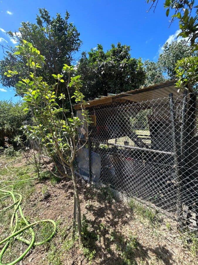 2 bedroom Finca/Country House for sale in San Martin del Tesorillo - € 367,000 (Ref: 9839035)