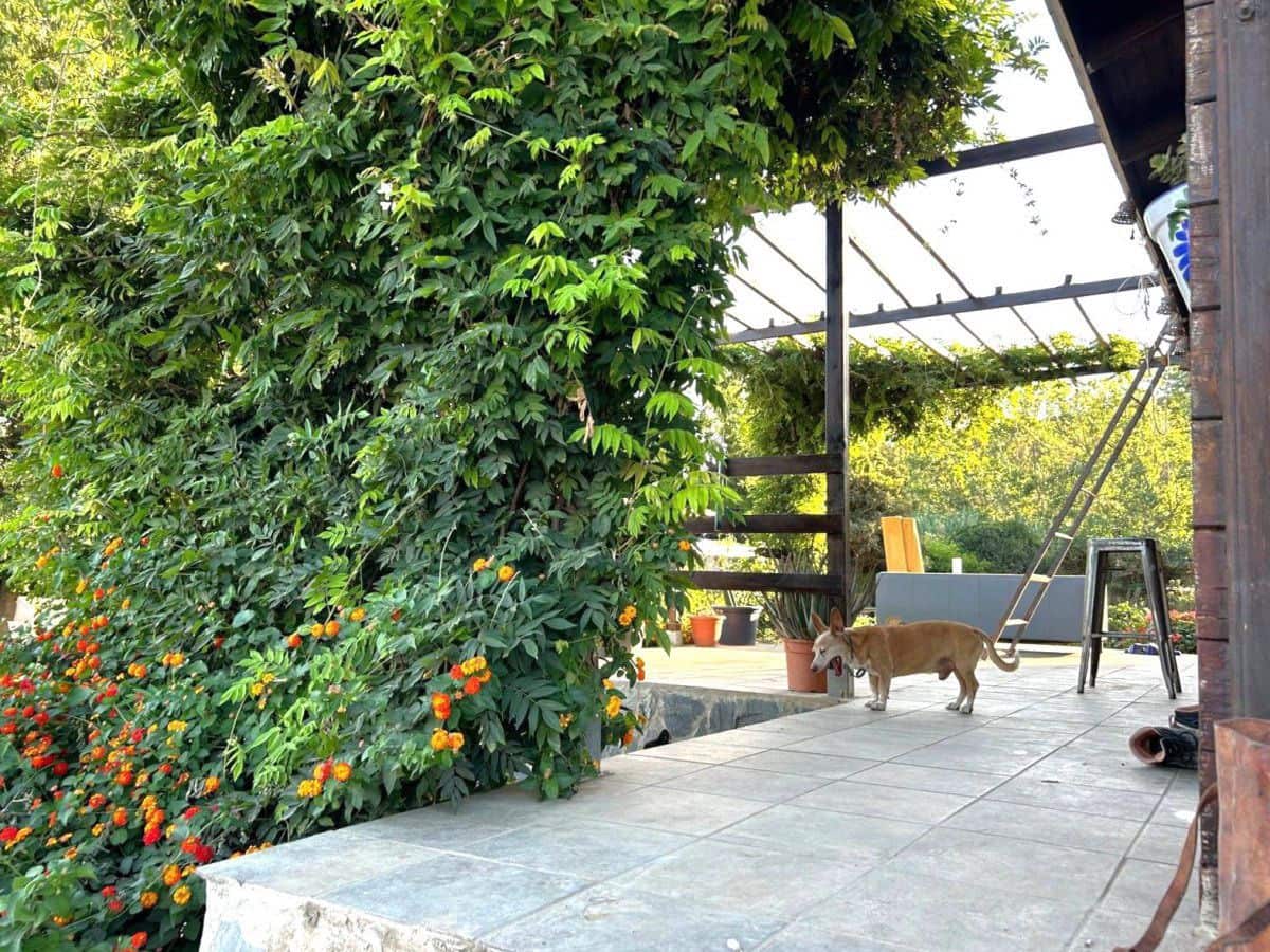 2 bedroom Finca/Country House for sale in San Martin del Tesorillo - € 367,000 (Ref: 9839035)