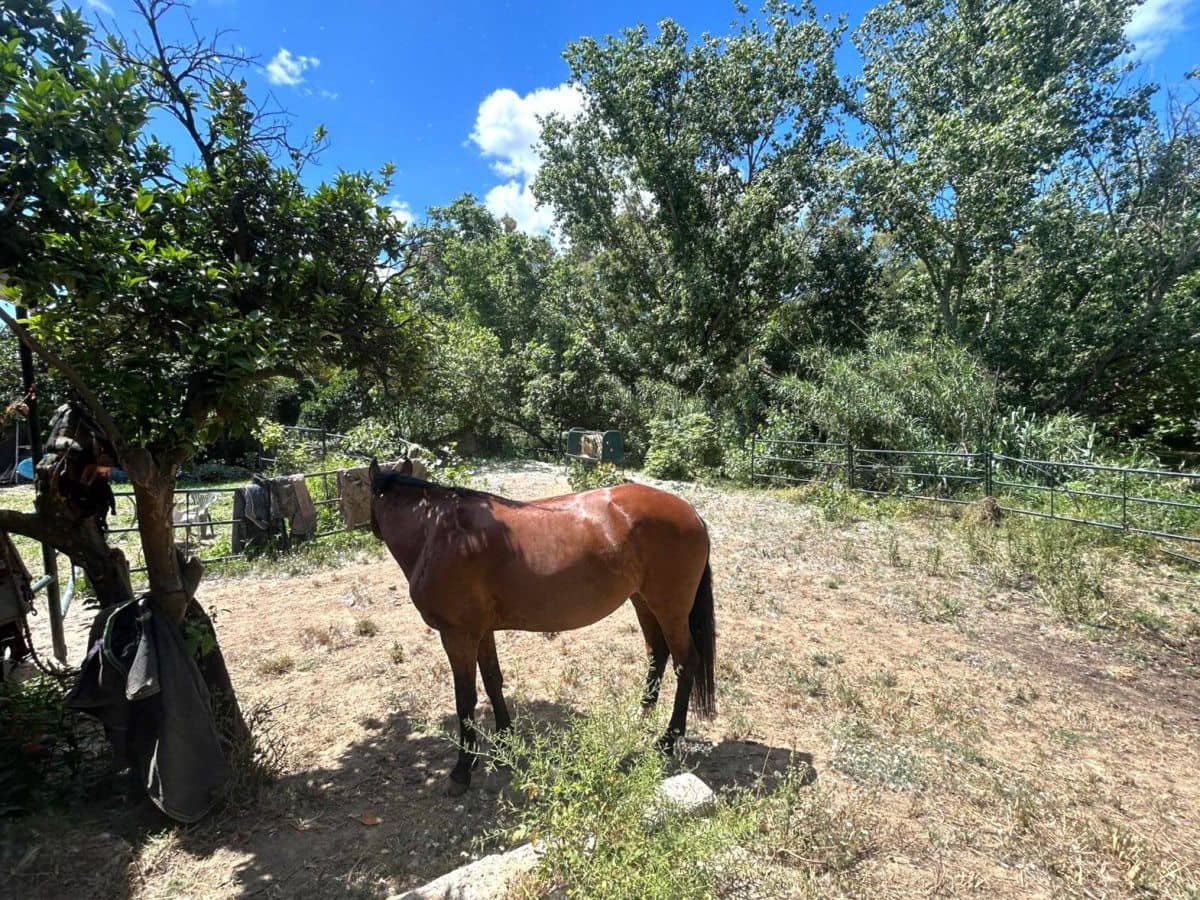 2 bedroom Finca/Country House for sale in San Martin del Tesorillo - € 367,000 (Ref: 9839035)