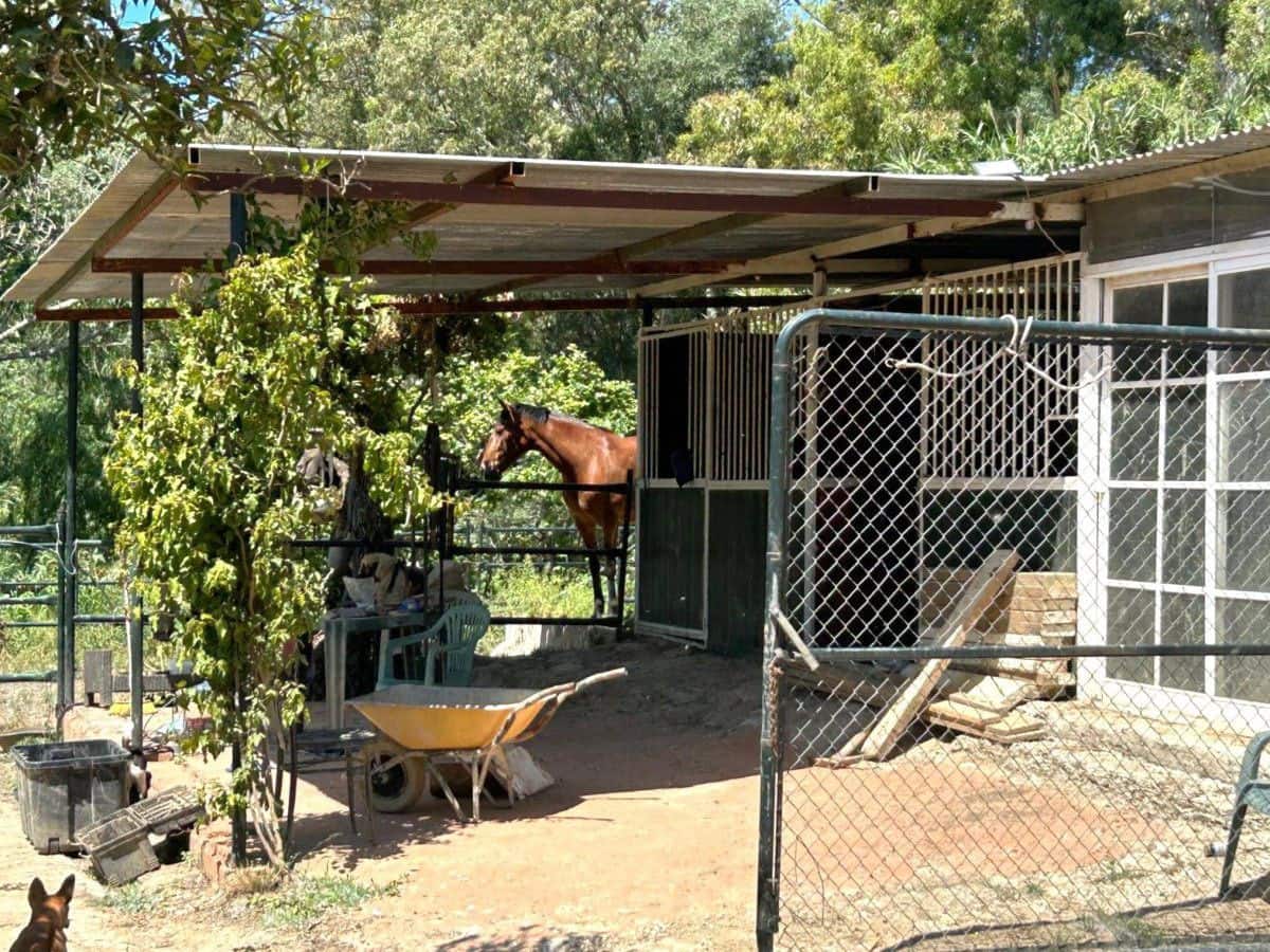 2 bedroom Finca/Country House for sale in San Martin del Tesorillo - € 367,000 (Ref: 9839035)