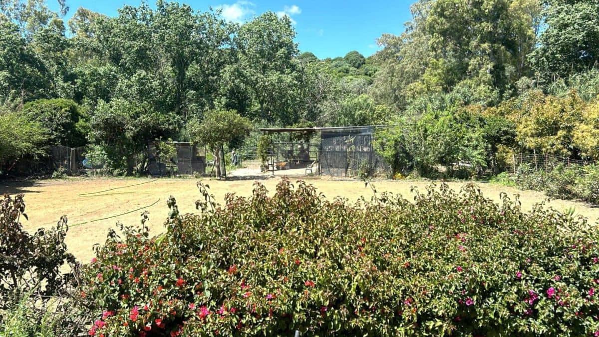 2 bedroom Finca/Country House for sale in San Martin del Tesorillo - € 367,000 (Ref: 9839035)