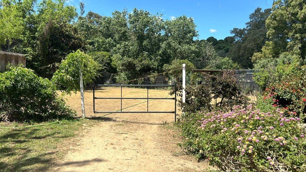 2 bedroom Finca/Country House for sale in San Martin del Tesorillo - € 367,000 (Ref: 9839035)