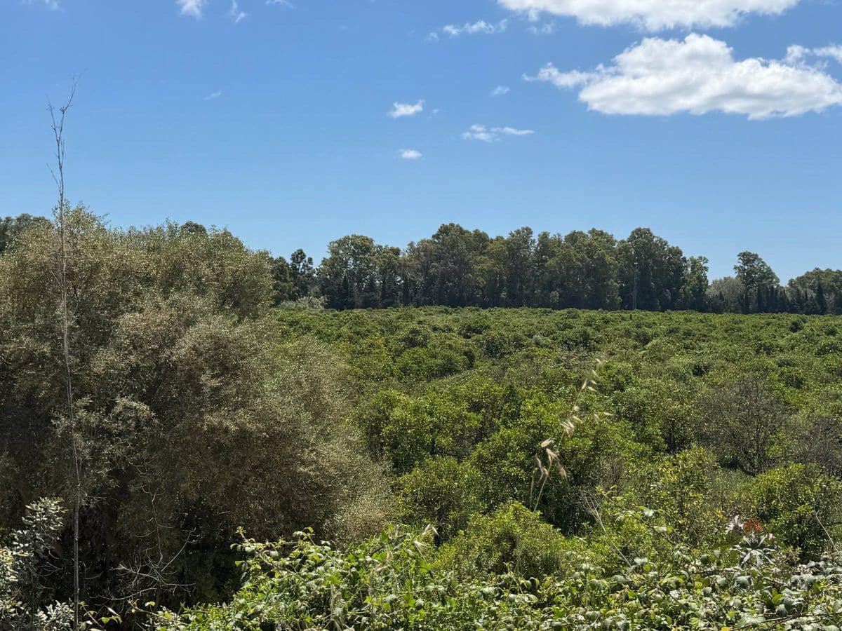 Finca/Landehus til salg i Guadiaro - € 1.080.000 (Ref: 9851517)