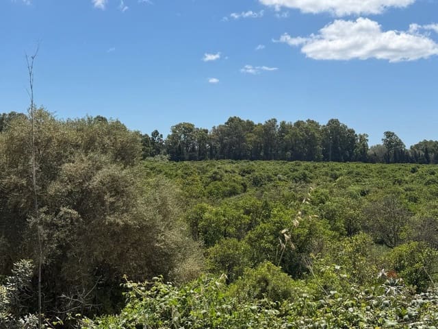 Finca/Landehus til salg i Guadiaro, San Roque - € 1.080.000 (Ref: 9851517)