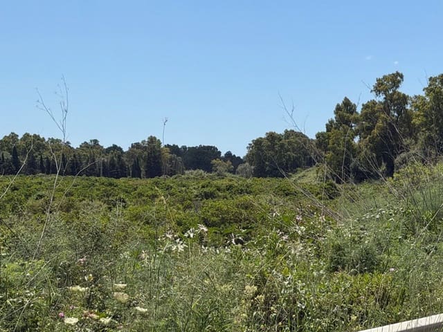 Finca/Landehus til salg i Guadiaro, San Roque - € 1.080.000 (Ref: 9851517)