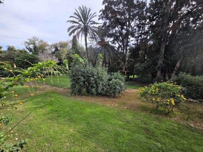 5 soverom Hus til leie i Sotogrande med svømmebasseng - € 2 000 (Ref: 9937747)