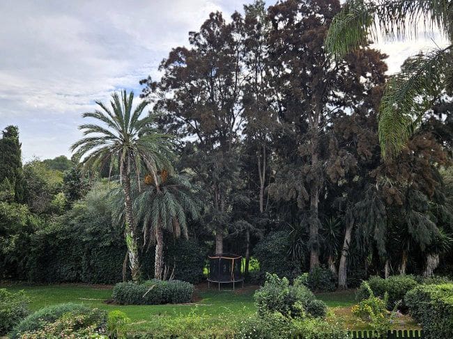 5 soverom Hus til leie i Sotogrande med svømmebasseng - € 2 000 (Ref: 9937747)