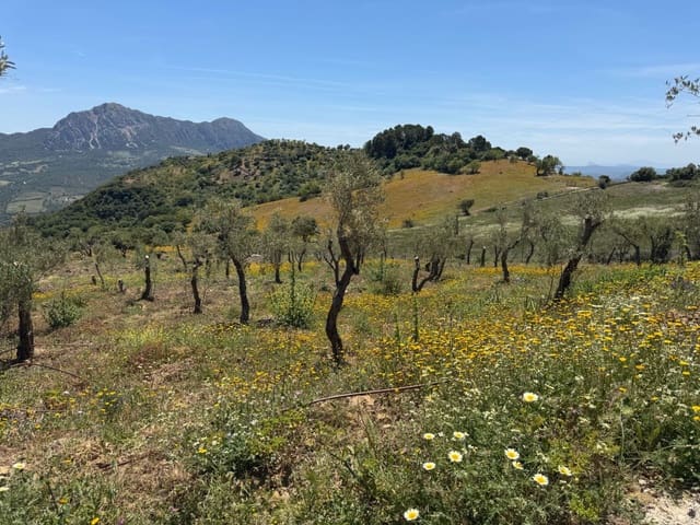 Finca/Landehus til salg i Gaucín - € 400.000 (Ref: 9941854)