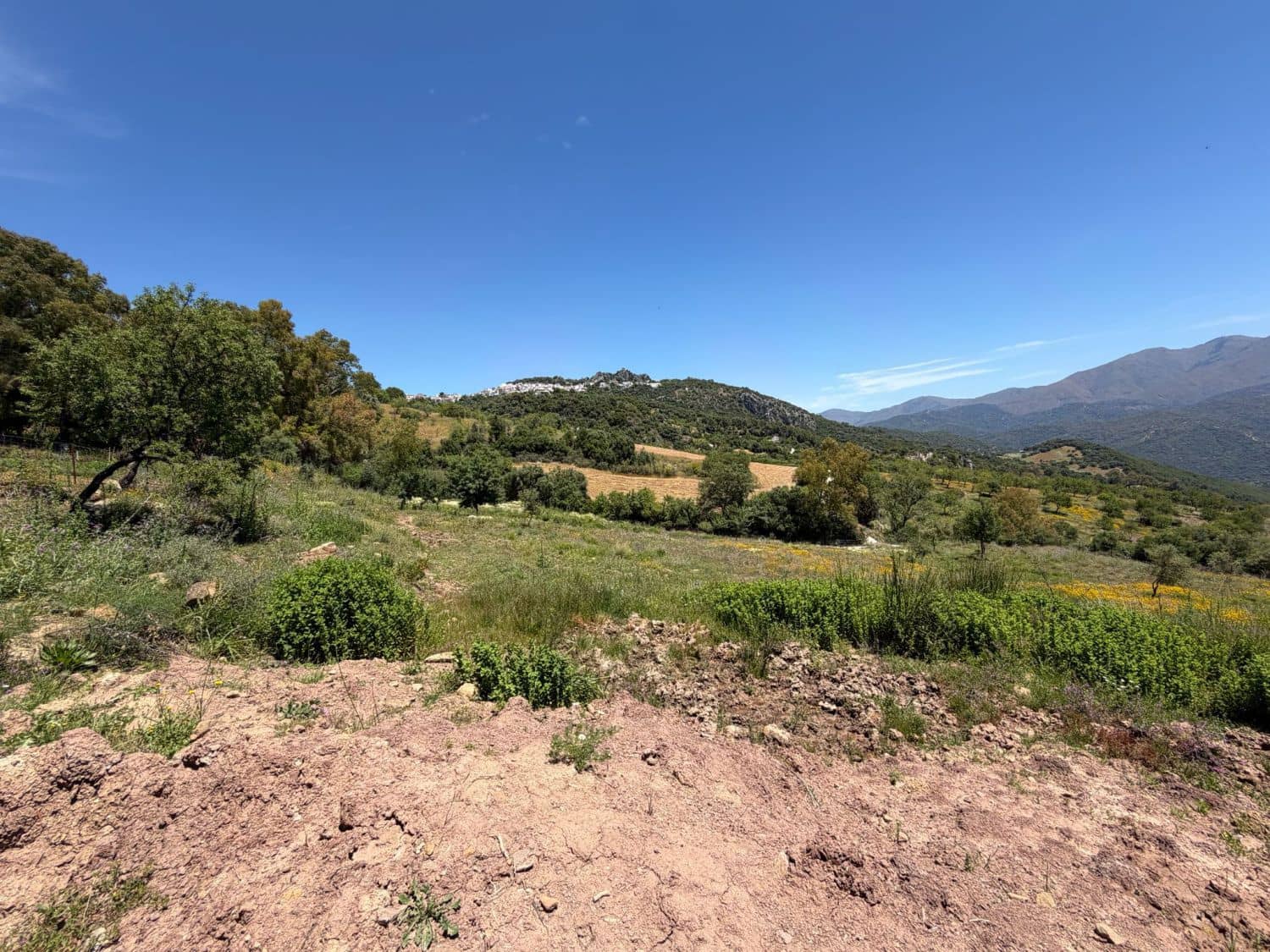 Finca/Landehus til salg i Gaucin - € 400.000 (Ref: 9941854)