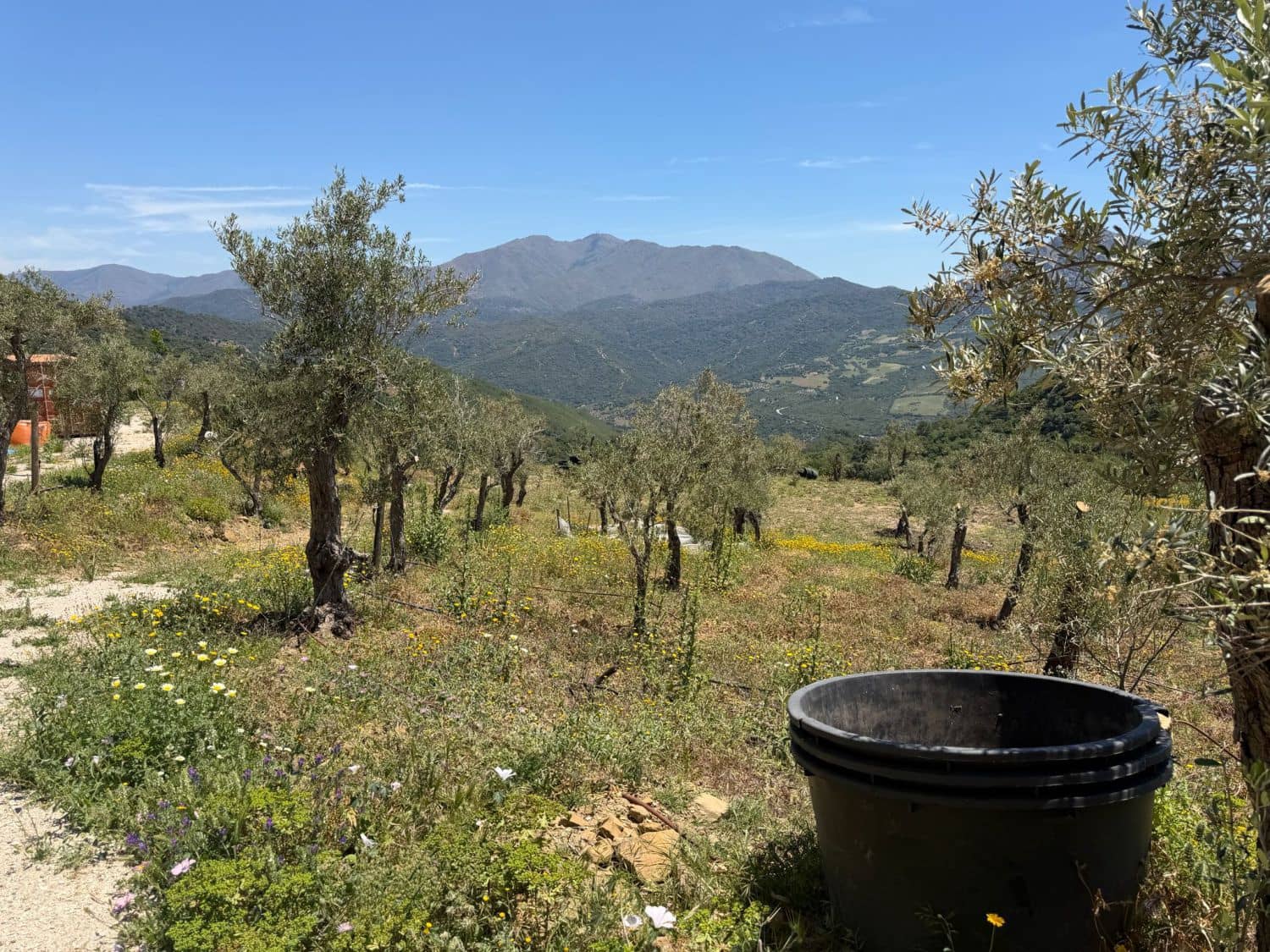Finca/Landehus til salg i Gaucin - € 400.000 (Ref: 9941854)
