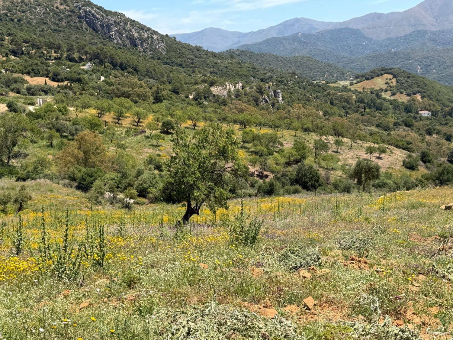Finca/Landehus til salg i Gaucin - € 400.000 (Ref: 9941854)