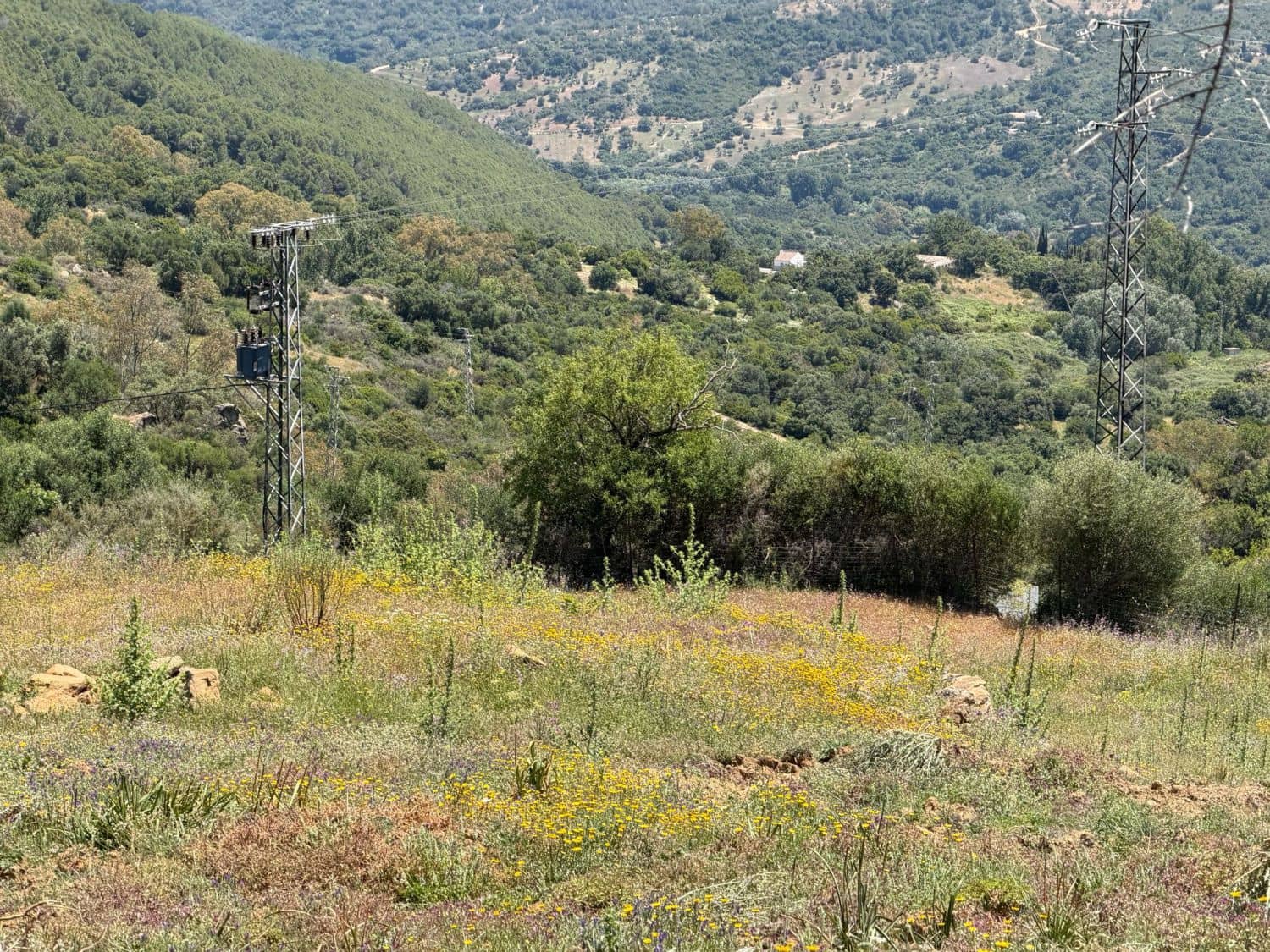 Finca/Landehus til salg i Gaucin - € 400.000 (Ref: 9941854)