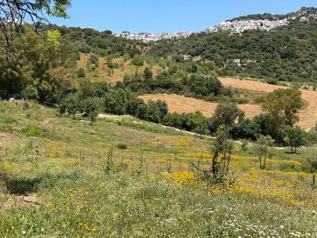 Finca/Landehus til salg i Gaucín - € 400.000 (Ref: 9941854)