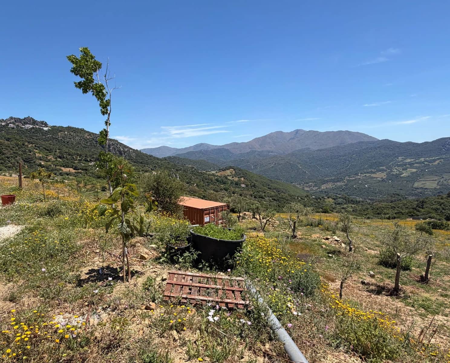 Finca/Landehus til salg i Gaucin - € 400.000 (Ref: 9941854)