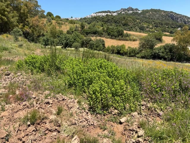 Finca/Landehus til salg i Gaucín - € 400.000 (Ref: 9941854)