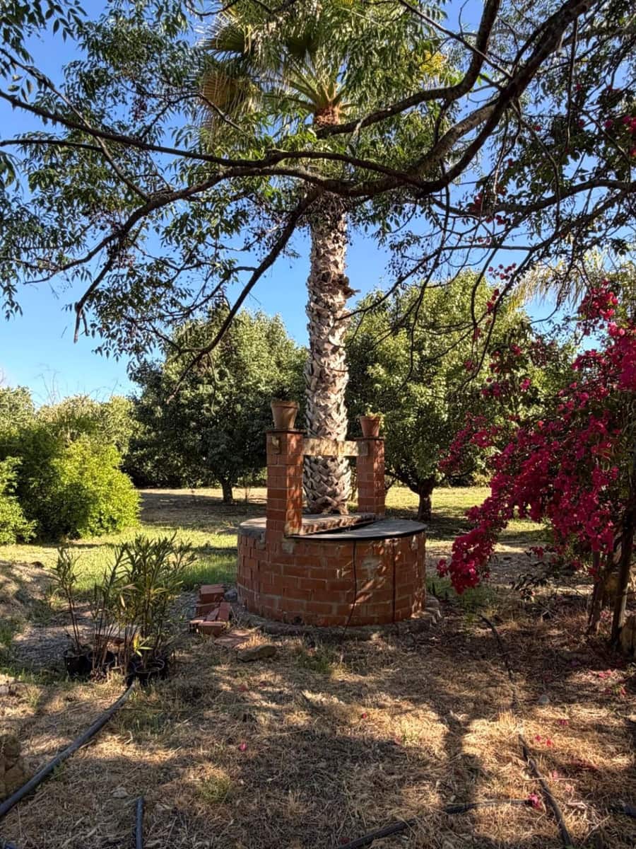 5 sypialnia Finka/Dom wiejski na sprzedaż w San Martin del Tesorillo - 1 300 000 € (Ref: 9947406)