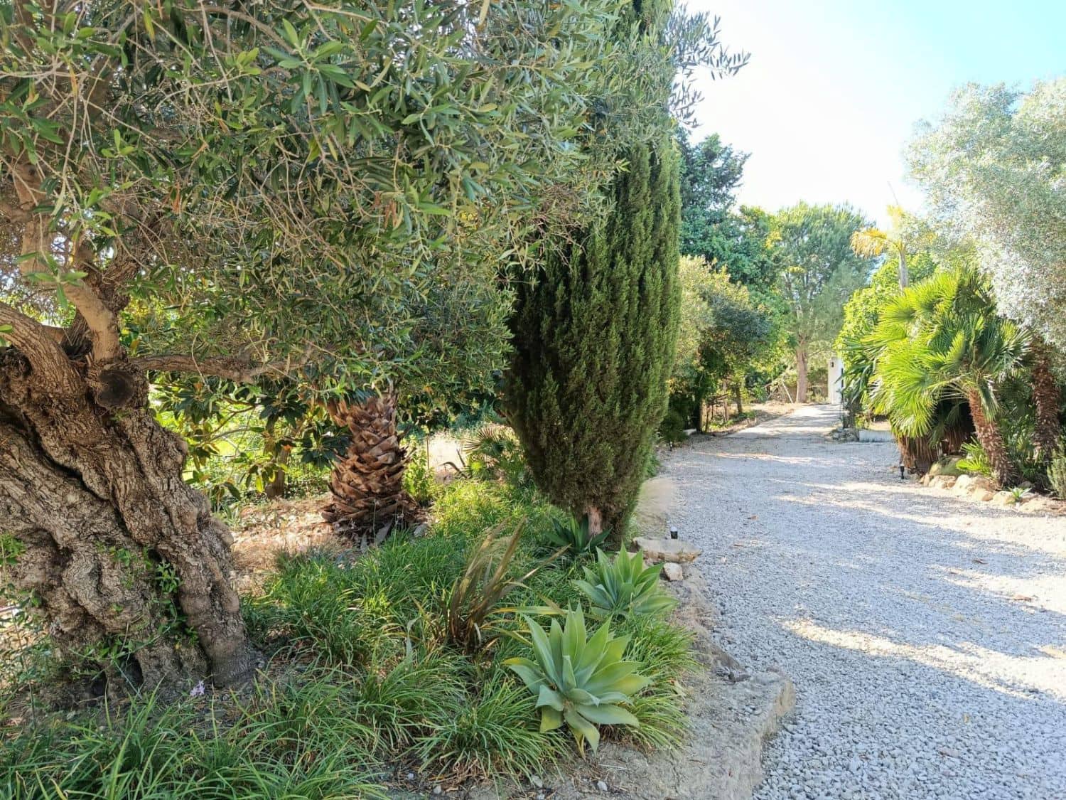 5 sypialnia Finka/Dom wiejski na sprzedaż w San Martin del Tesorillo - 1 300 000 € (Ref: 9947406)