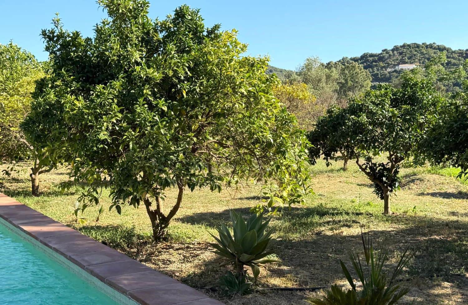 5 sypialnia Finka/Dom wiejski na sprzedaż w San Martin del Tesorillo - 1 300 000 € (Ref: 9947406)