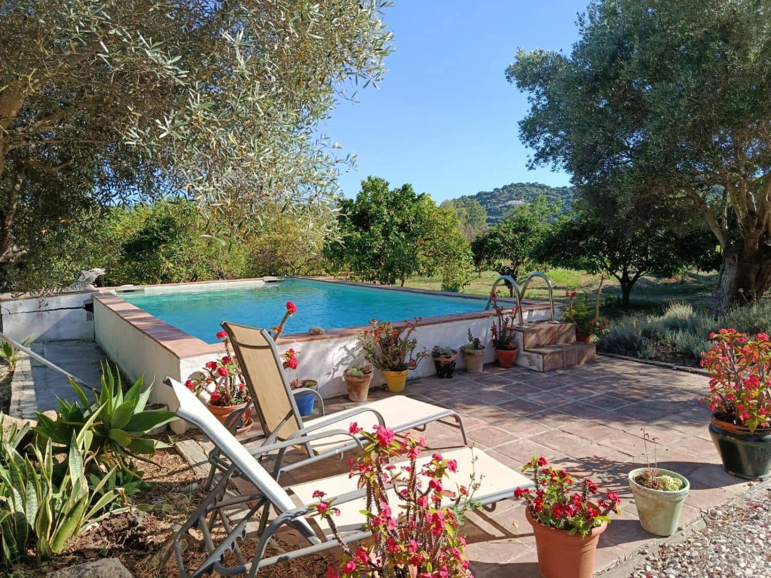 5 sypialnia Finka/Dom wiejski na sprzedaż w San Martin del Tesorillo - 1 300 000 € (Ref: 9947406)