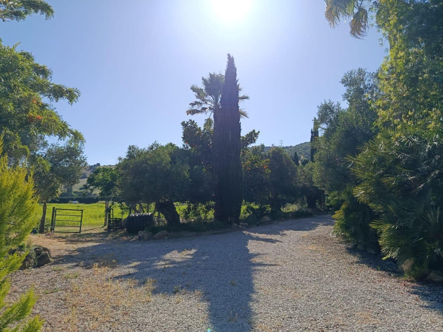 5 sypialnia Finka/Dom wiejski na sprzedaż w San Martin del Tesorillo - 1 300 000 € (Ref: 9947406)