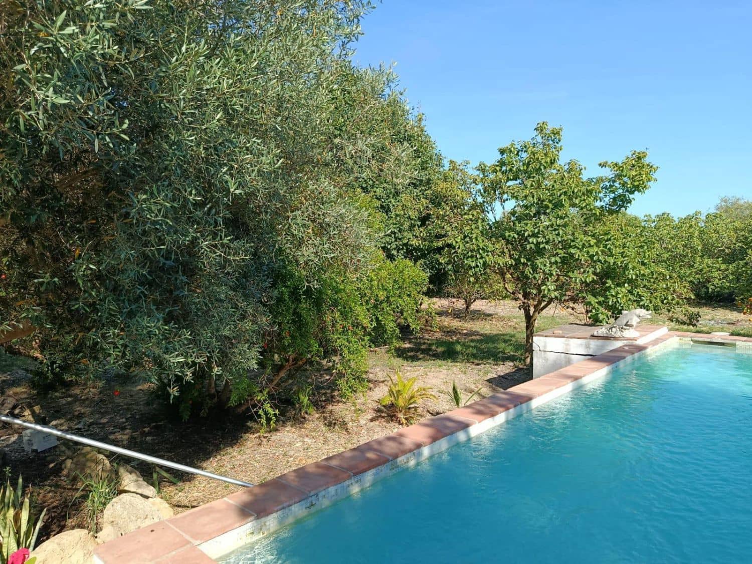 5 sypialnia Finka/Dom wiejski na sprzedaż w San Martin del Tesorillo - 1 300 000 € (Ref: 9947406)