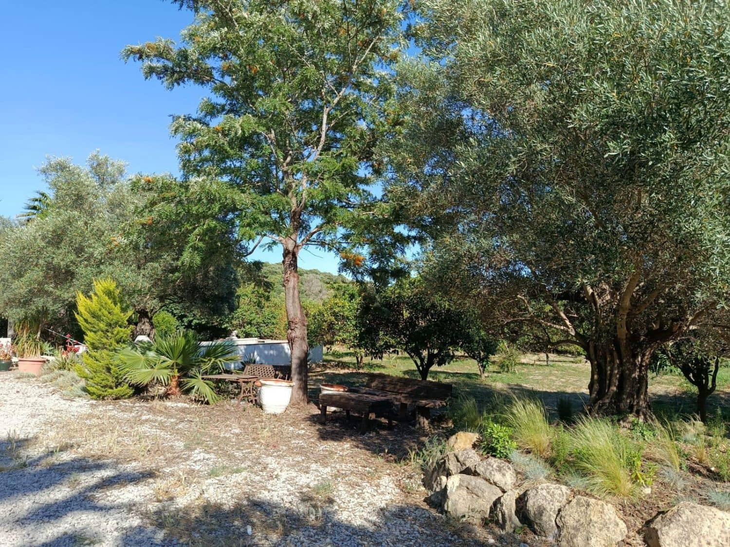 5 sypialnia Finka/Dom wiejski na sprzedaż w San Martin del Tesorillo - 1 300 000 € (Ref: 9947406)