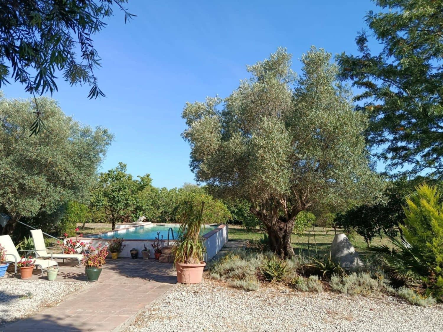 5 sypialnia Finka/Dom wiejski na sprzedaż w San Martin del Tesorillo - 1 300 000 € (Ref: 9947406)
