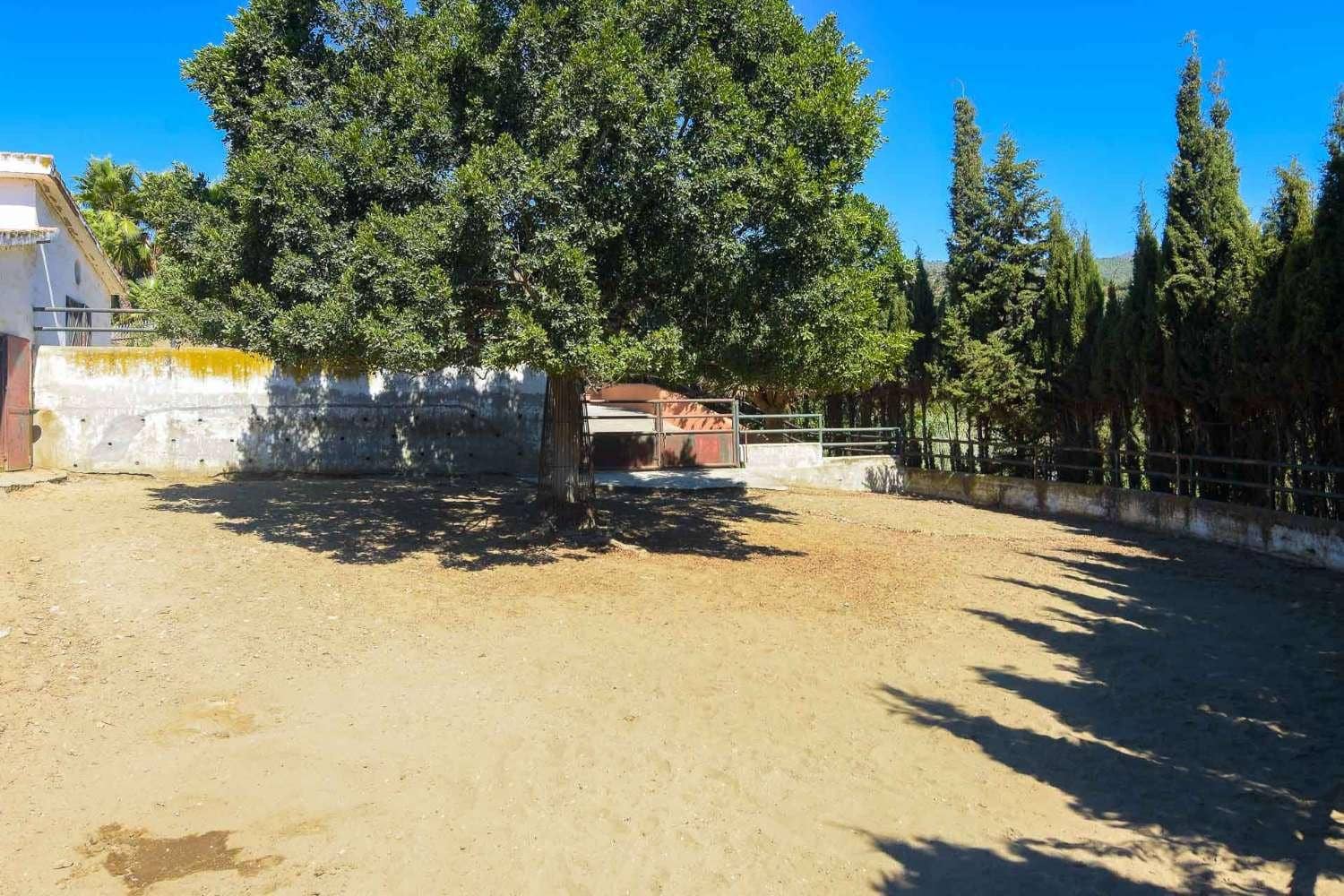 9 chambre Villa/Maison à vendre à Frigiliana avec piscine - 3 200 000 € (Ref: 6345592)