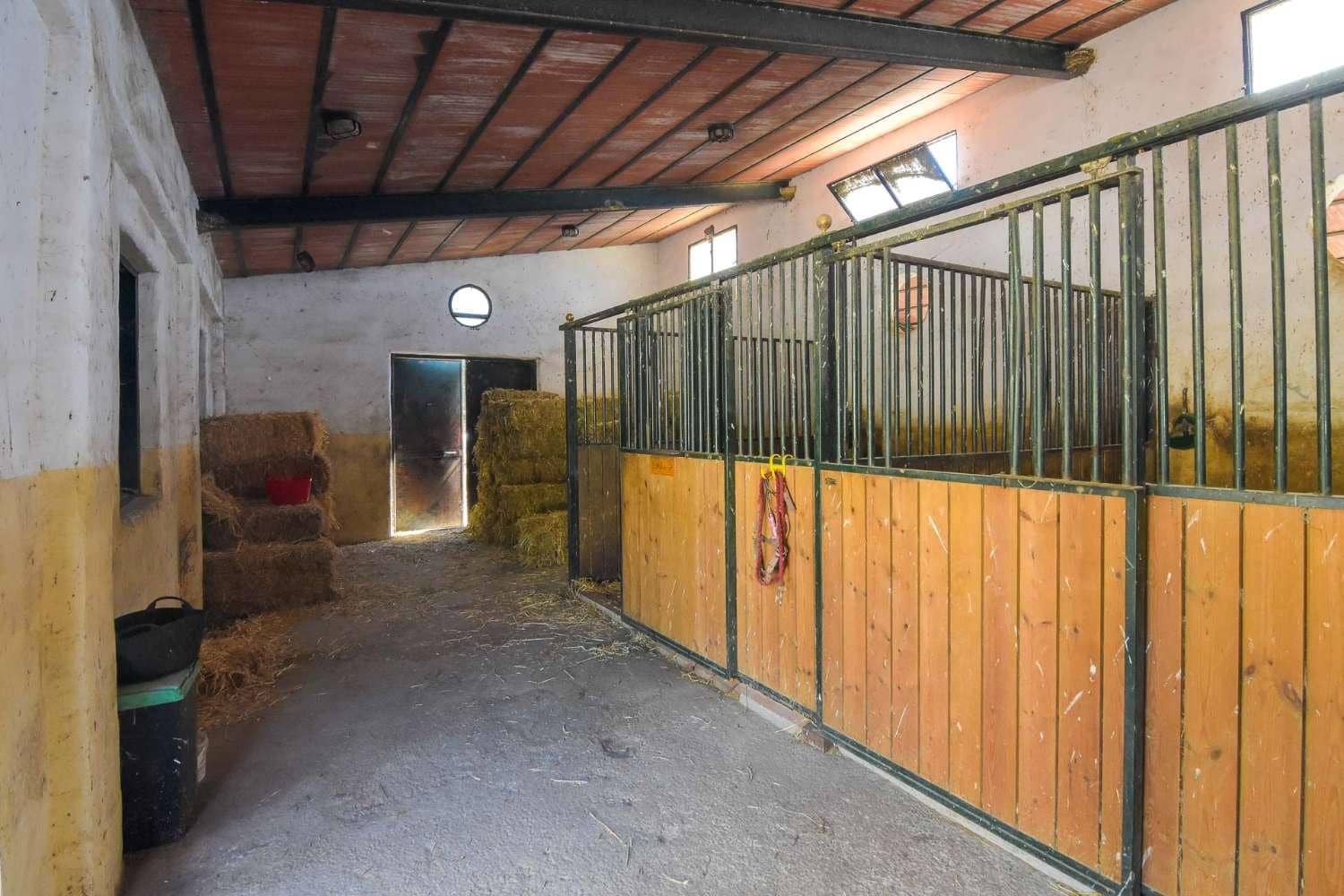 9 chambre Villa/Maison à vendre à Frigiliana avec piscine - 3 200 000 € (Ref: 6345592)