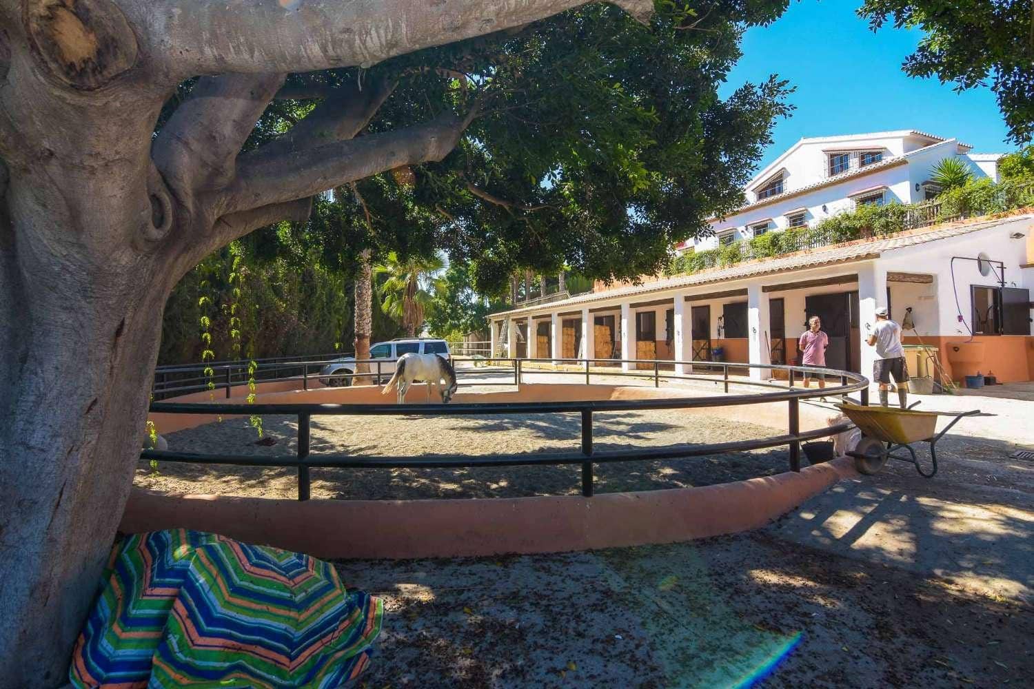 9 chambre Villa/Maison à vendre à Frigiliana avec piscine - 3 200 000 € (Ref: 6345592)