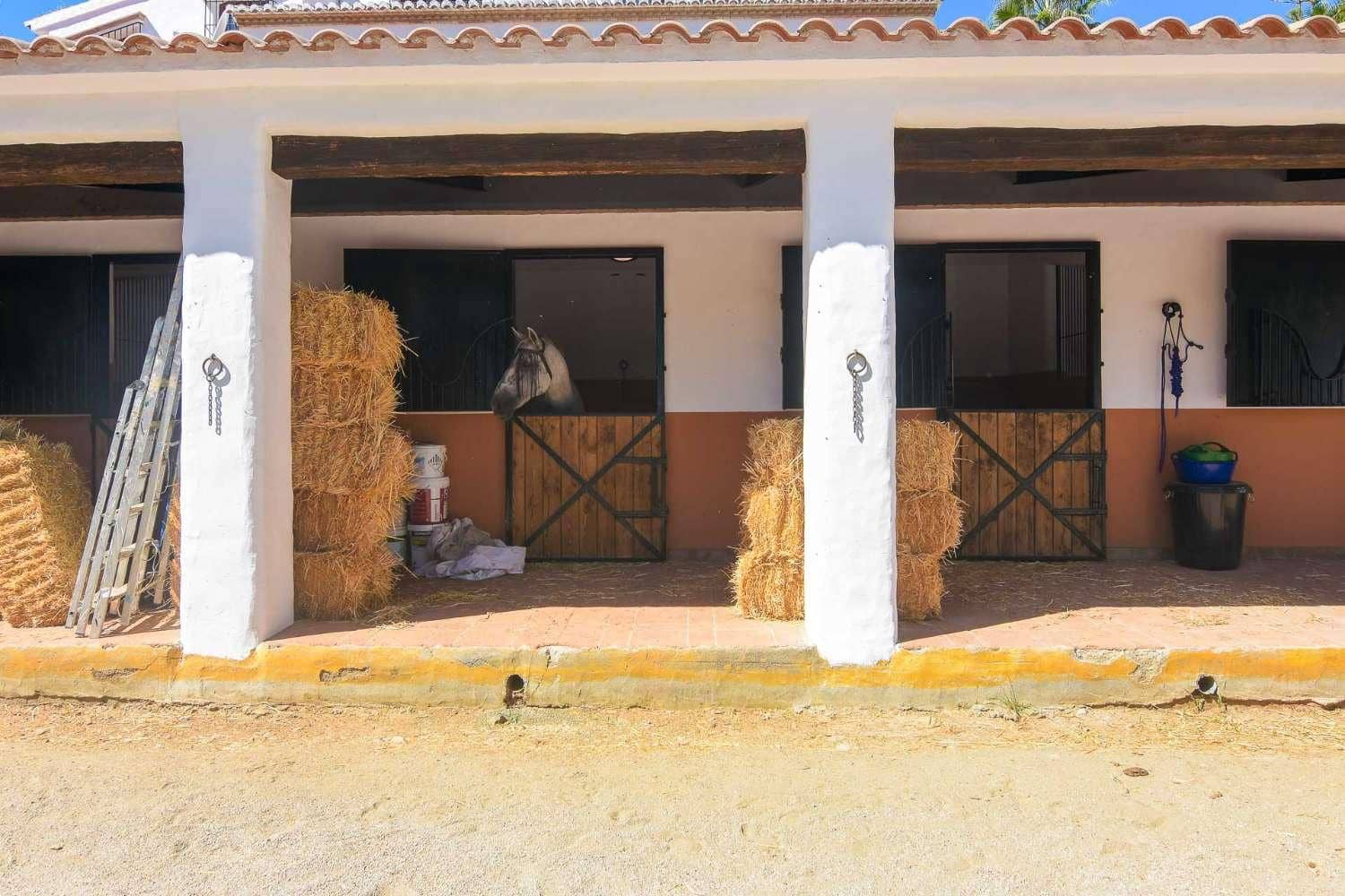 9 chambre Villa/Maison à vendre à Frigiliana avec piscine - 3 200 000 € (Ref: 6345592)