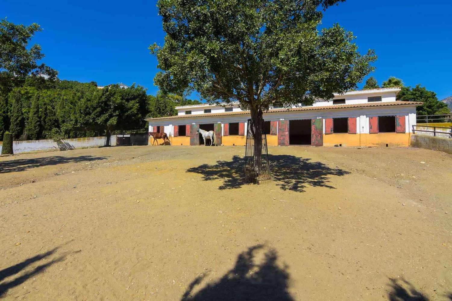 9 chambre Villa/Maison à vendre à Frigiliana avec piscine - 3 200 000 € (Ref: 6345592)