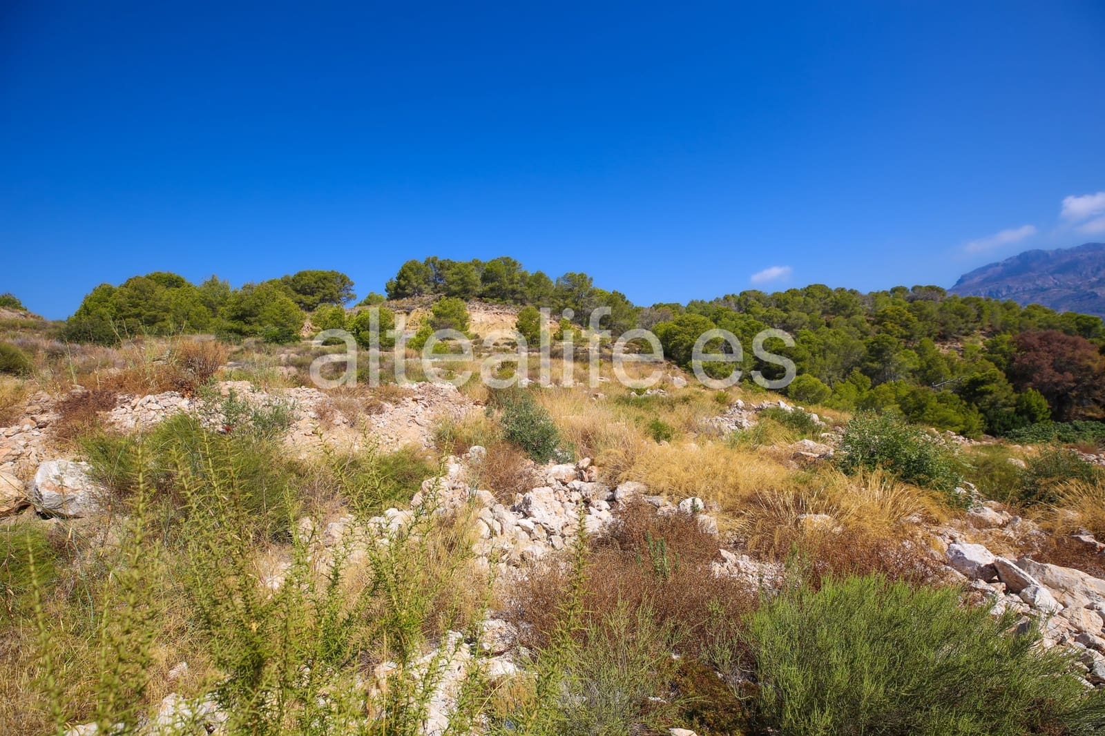 Building Plot for sale in Altea - € 525,000 (Ref: 10009506)