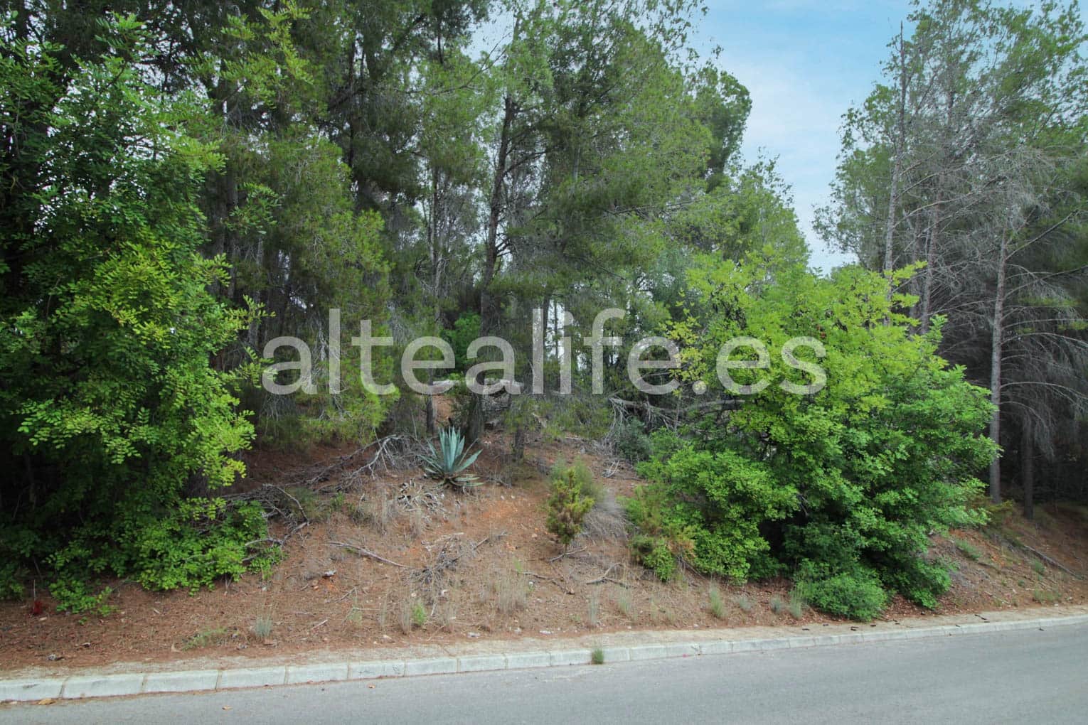 Terreno Non Edificato in vendita in Altea - 60.000 € (Rif: 7931838)