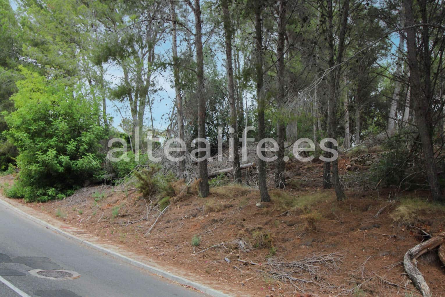 Terreno Non Edificato in vendita in Altea - 60.000 € (Rif: 7931838)